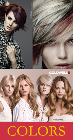 Beauty Coiffeur| Claudia Ganglau | Der Friseur in Nordkirchen - Haarfarbe